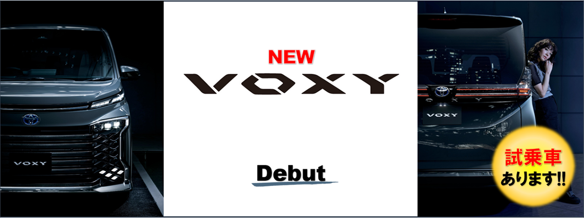 ネッツトヨタ甲斐株式会社