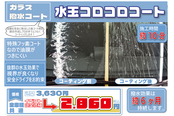 スタこら感謝祭水コロ